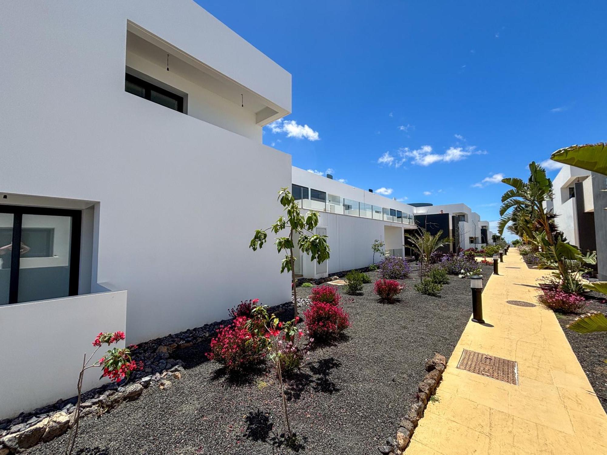 Apartament Infinito La Oliva Zewnętrze zdjęcie
